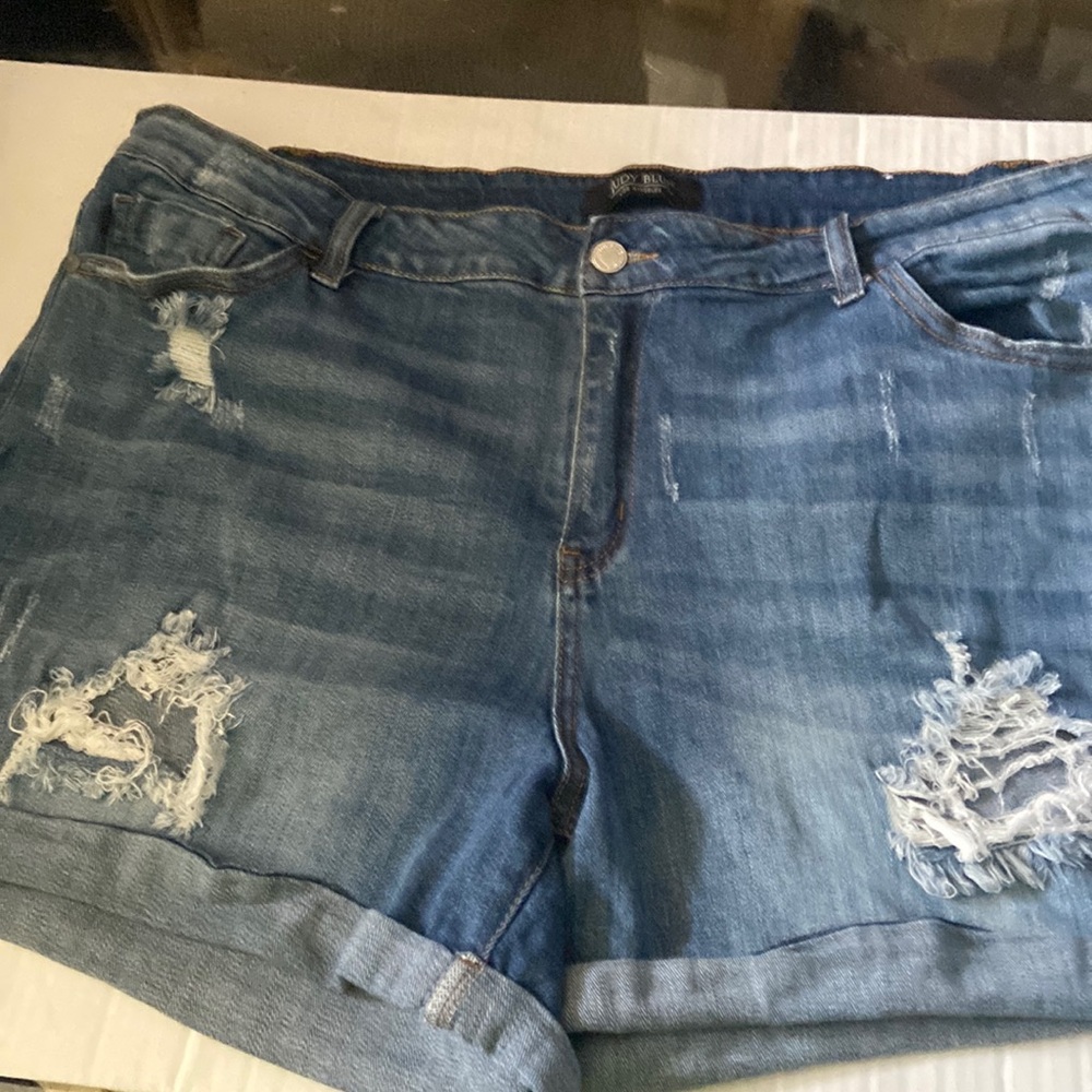 Judy Blue Shorts